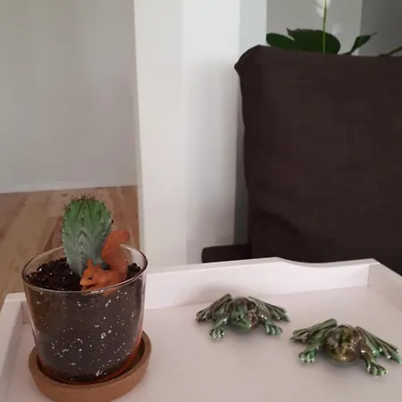 Appartement Nascente *