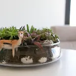 Nascente * ポルト